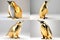 A lighting gold low polygon model of a penguin standing 4 models on the white background.