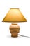 Lighting lamp