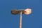 Lighting pole with a lighted lamp 02