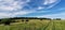 Lightly cloudy summertime hilltop meadow with wheel tracks in grass and forest in the background