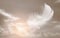 Lightly of White Feather Floating in The Sky. Abstract Feather Flying in Heavenly.