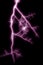 lightning, lightning thunderstorm, lighting, pink flash natural phenomenon, light effect