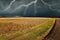 Lightning over the meadow