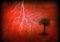 Lightning and tree on red