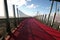 Lightpath to CBD. Urban walkway to downtown in pink color for bicycle riders. Nelson Street Cycleway, Auckland, New Zealand