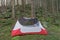 Lightweight freestanding three-season 2-person tent, inner tent body without rainfly, on forest in the evening in spruce forest