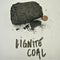 Lignite coal black rock with penny