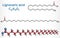 Lignoceric acid, tetracosanoic acid, saturated fatty acid molecule. Occurs naturally in wood tar, in small amount in most natural