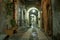 Liguria Alley