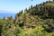 Liguria coast with terraces and Mediterranean Sea near Portofino