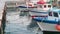 Ligurian boat moored in the ancient port of Imperia Oneglia