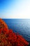 The Ligurian Coast, Cinque Terre.