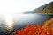 The Ligurian Coast, Cinque Terre.