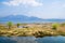 Lijiang Lashi Lake Wetlands is a national natural scenic spot near the city of Lijiang,China.