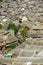 Lijiang Old Town Tiled Rooftops High Angle View