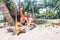 Like shipwrecke: father and son play together on tropical beach