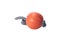 Liker: ball on the cord - toy for dog training and fun, isolated on a white background, pet accessory, pets shop assortment, produ