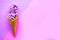 Lilac blooming branch in waffle cone on geometric purple background.