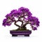 Lilac Bonsai: Isolated On White Background Fullframe Without Shade Or Shadow