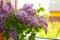 Lilac bouquet of flowers on a wooden window. cozy floral decor in room