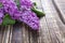 Lilac bouquet fragment Board