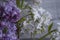 Lilac branch on old background  flora  surface  beautiful  decoration   seasonal border fragrant
