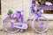 Lilac bycicle