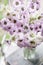 Lilac Delphiniums in glass vase on gray table. Summer wallpaper. Selective focus. Flower shop concept.