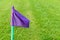 Lilac flags on the green grass of a football playing field.