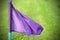 Lilac flags on the green grass of a football playing field.