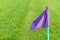 Lilac flags on the green grass of a football playing field.