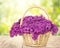 Lilac Flowers Blooming Bouquet Basket Wooden Table