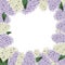 Lilac flowers border