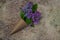 Lilac flowers bouquet. Craft paper cornet filled with spring blossom purple lilac