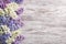 Lilac Flowers Bouquet on Wooden Plank Background, Spring Purple