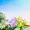 Lilac flowers bunch over sunny sky background