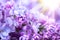 Lilac flowers bunch violet art design background