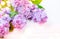 Lilac flowers bunch on white wooden background