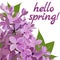 Lilac flowers close-up with the words Hello spring