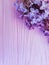 Lilac flowers composition color pink wooden background beautiful