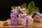 Lilac flowers and essential oil in a glass vessel. Ecological preparations on a wooden board