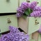 Lilac flowers in green dresser drawers