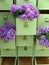 Lilac flowers in green dresser drawers