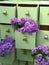 Lilac flowers in green dresser drawers