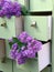 Lilac flowers in green dresser drawers