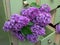 Lilac flowers in green dresser drawers