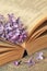 Lilac flowers with old book