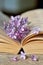 Lilac flowers with open book