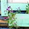 Lilac flowers of petunias hang from a wooden pot under the casing of the Northern Yakut house