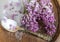 Lilac flowers and sugar on a wooden board